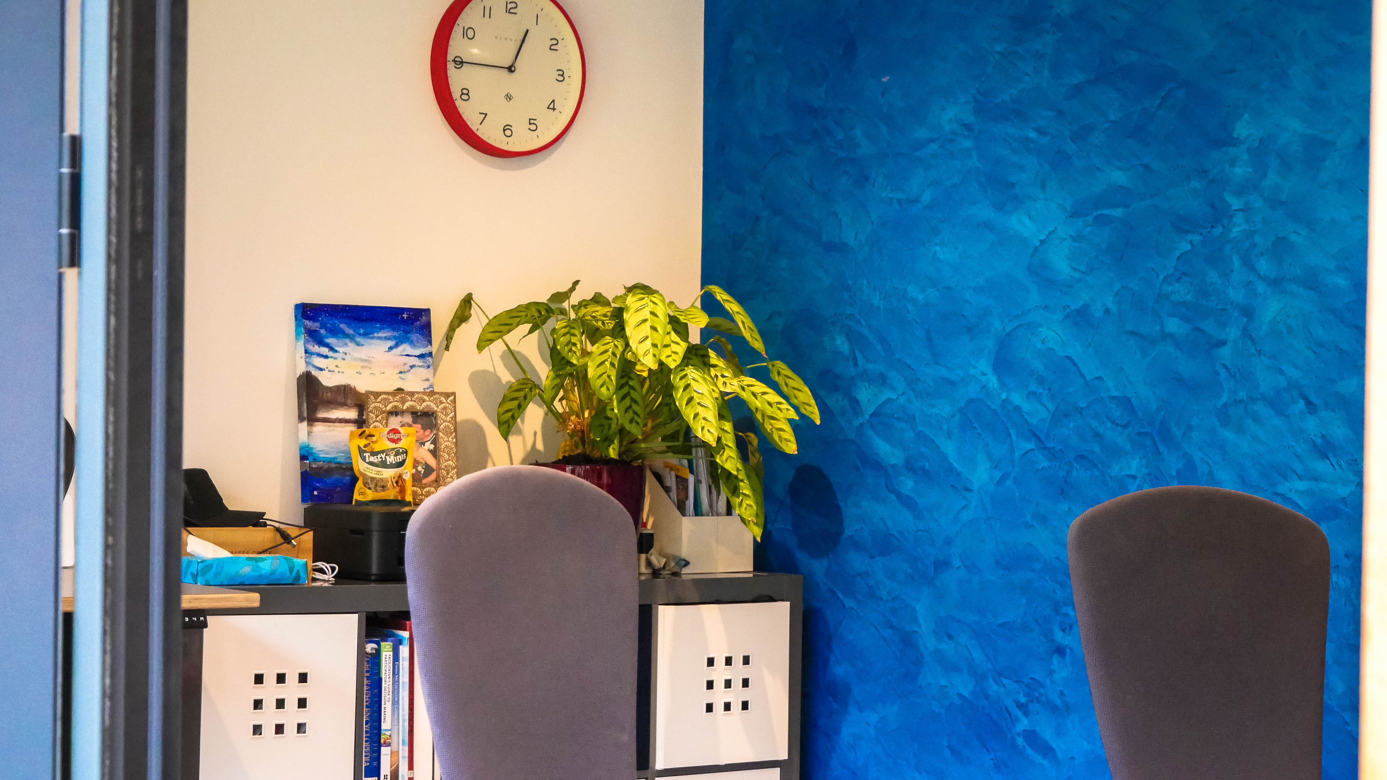 blue venetian polished plaster feature wall in home office garden room banstead